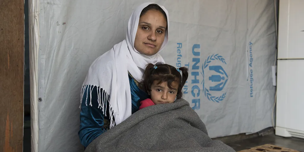 Winter Protection kit