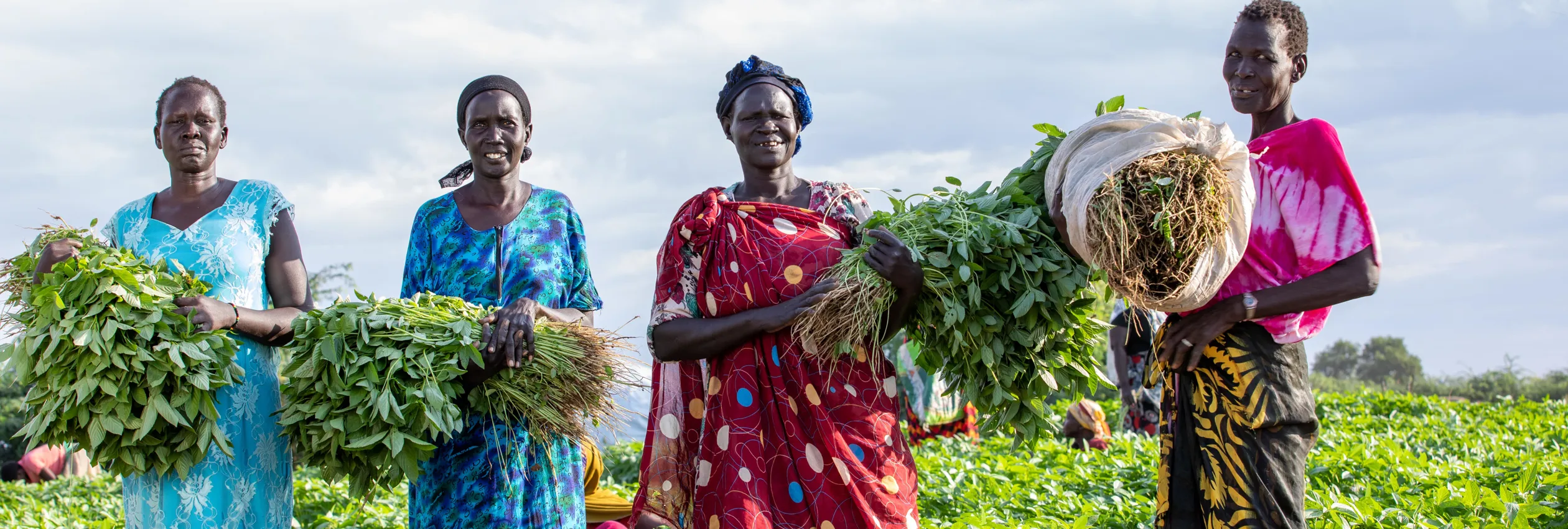 Kenya. Women Farmers
