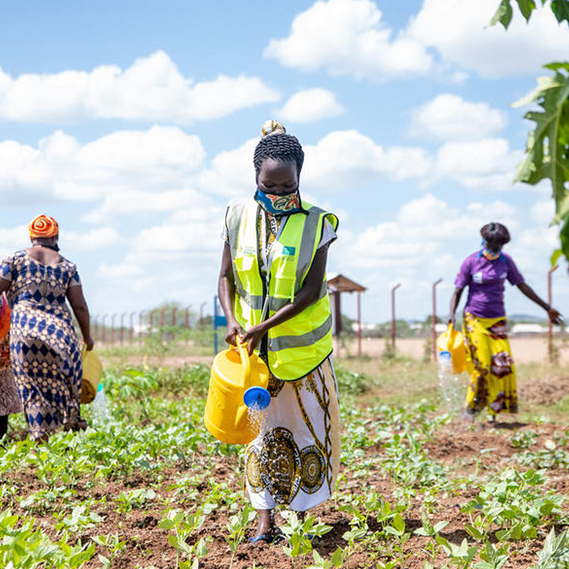 Extension Gardening Idevaw Refugees November Article