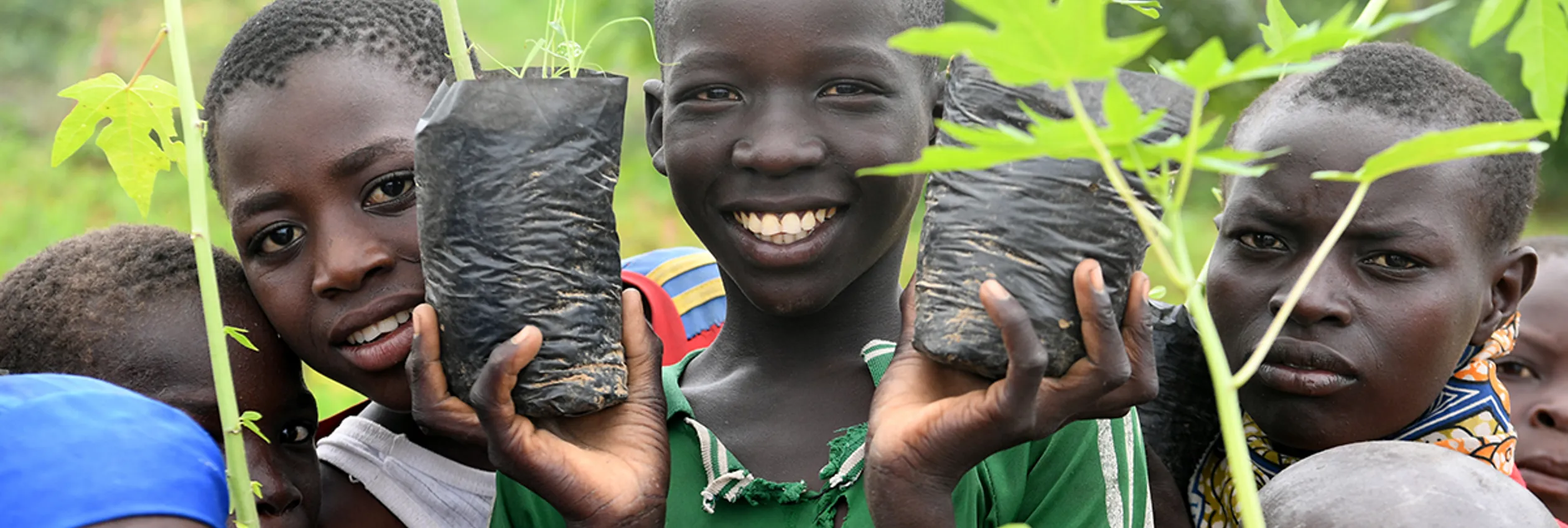 Facebook Refugees In Cameroon Help Build Great Green Wall To Combat Desertification