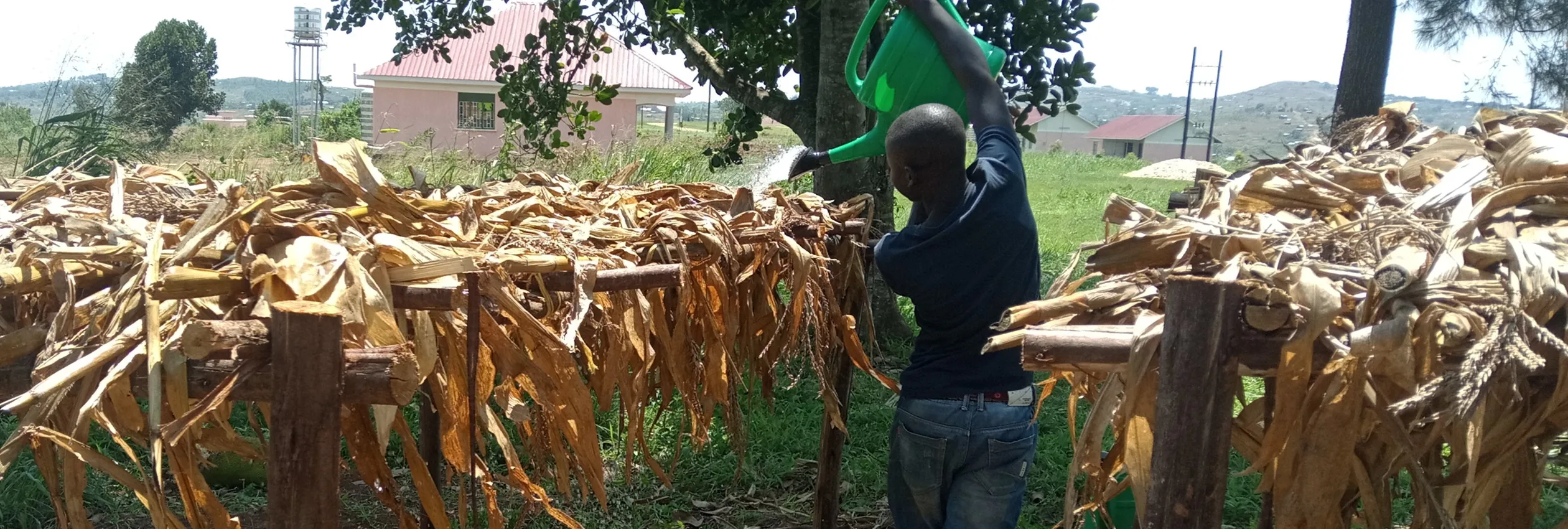 Banner Stories Vtc Graduates